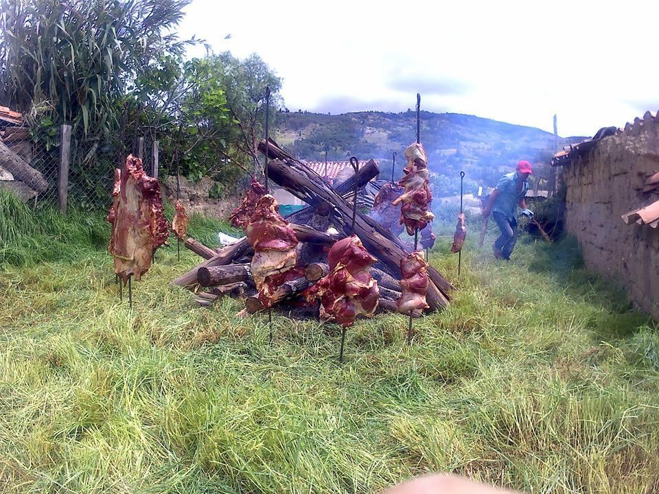 Casa Vieja * Pesca